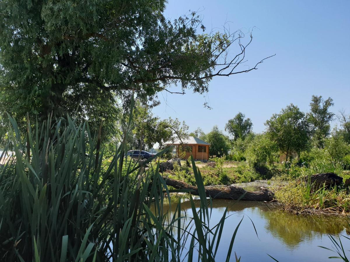 Villa Kambodzha Na Dynae à Vylkove Extérieur photo