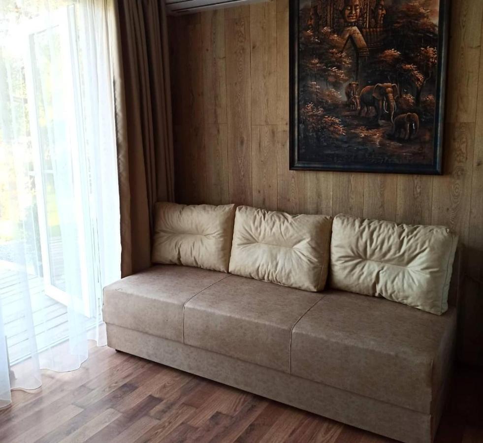Villa Kambodzha Na Dynae à Vylkove Extérieur photo