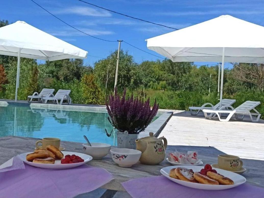 Villa Kambodzha Na Dynae à Vylkove Extérieur photo